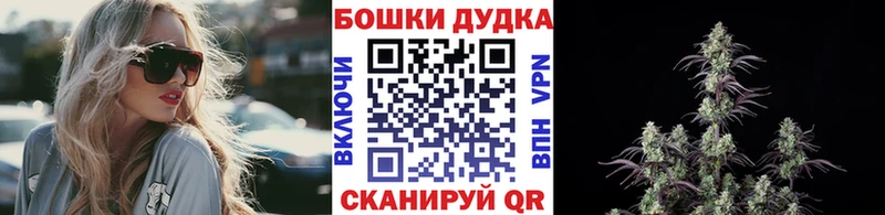 Бошки марихуана Amnesia  что такое   Тосно 